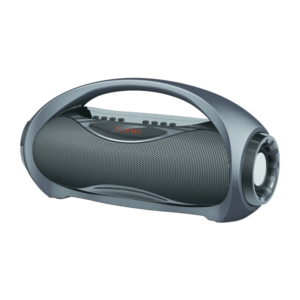 Portable radio